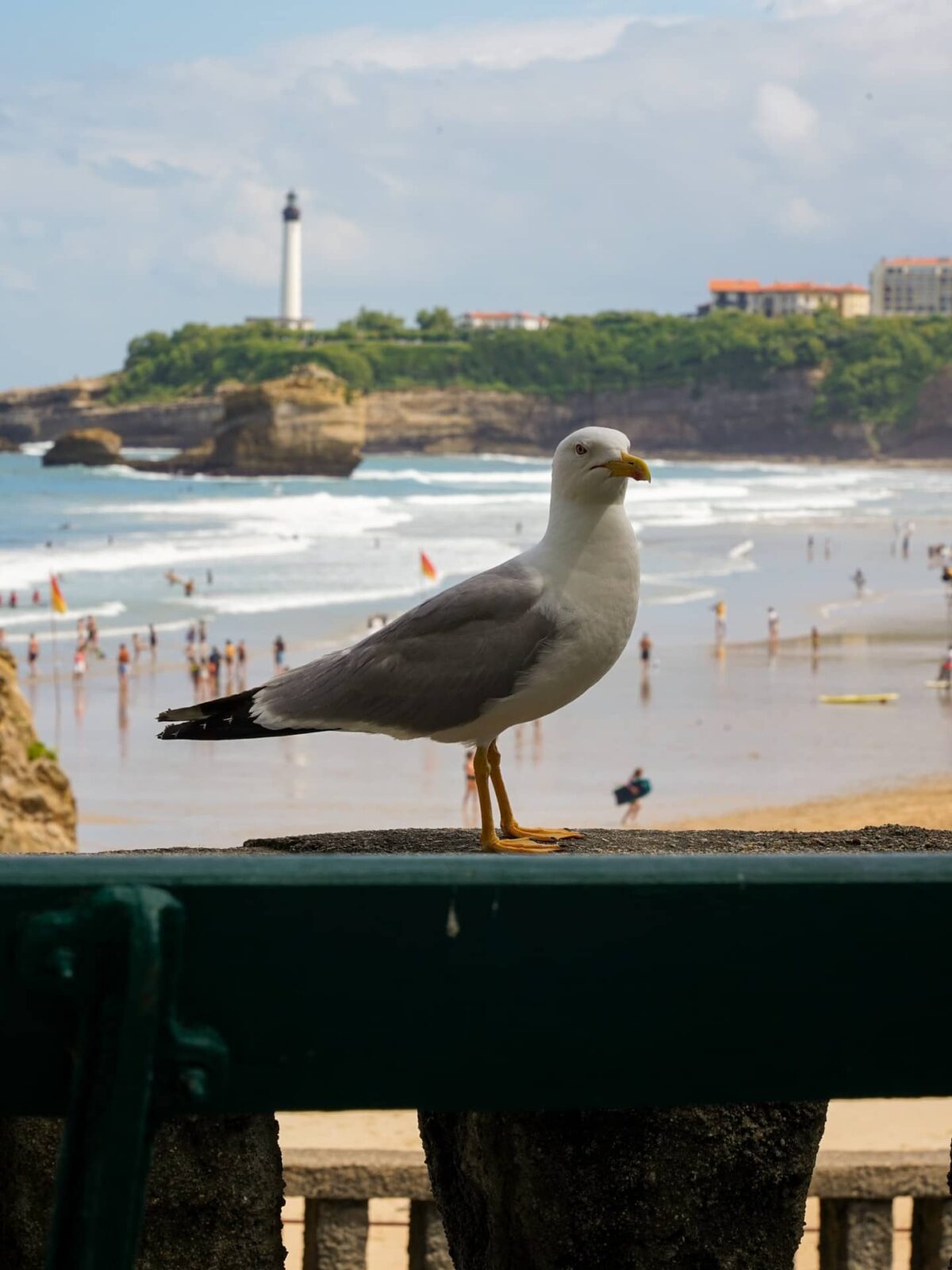 Road-trip sur la côte basque : 5 étapes incontournables