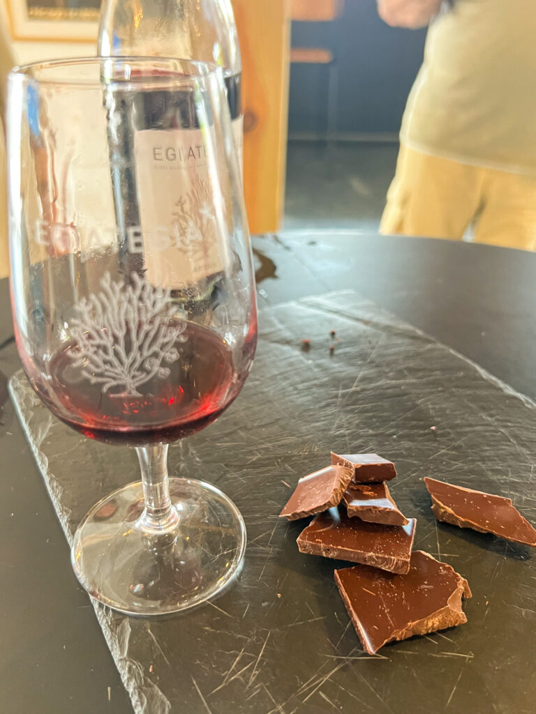 degustation pintxos egiategia artha rouge vinification sous-marine