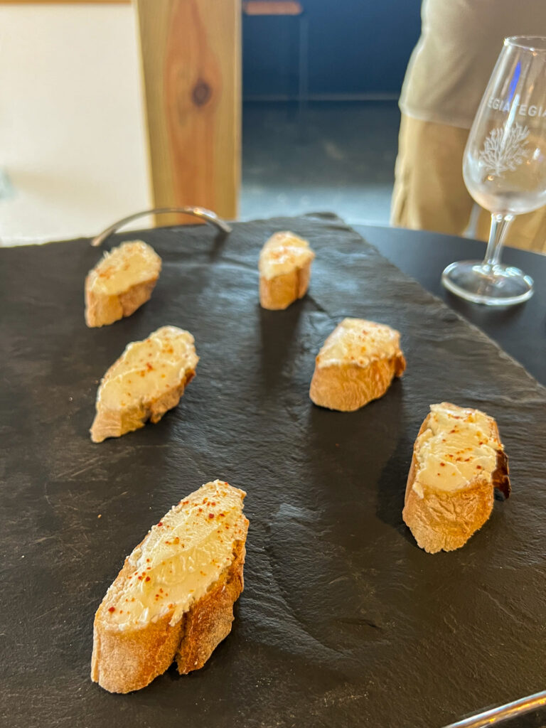 degustation pintxos egiategia dena dela rouge vinification sous-marine