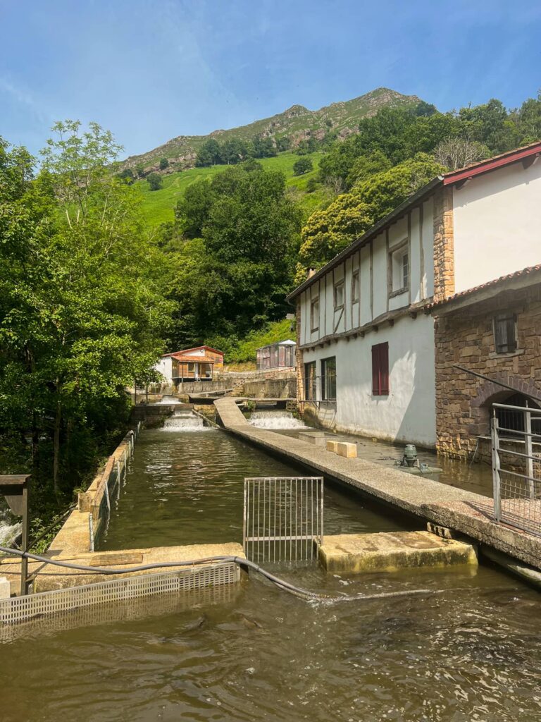 pays basque banca terres basques