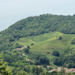Pays-Basque vignes AOP Irouléguy Pyrénées