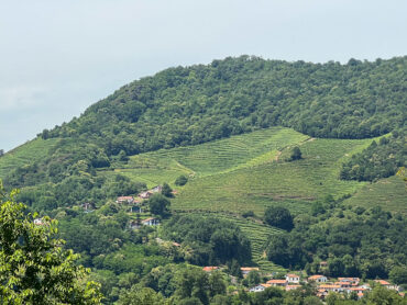 Pays-Basque vignes AOP Irouléguy Pyrénées