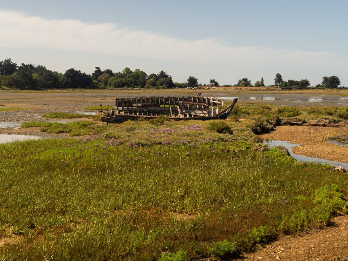 Les îles du Golfe du Morbihan : 3 balades pour découvrir ces joyaux