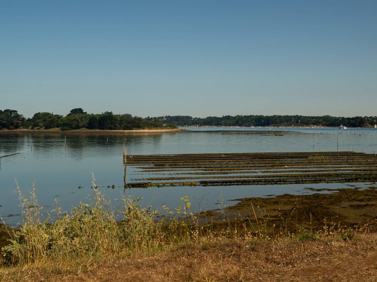 Les îles du Golfe du Morbihan : 3 balades pour découvrir ces joyaux
