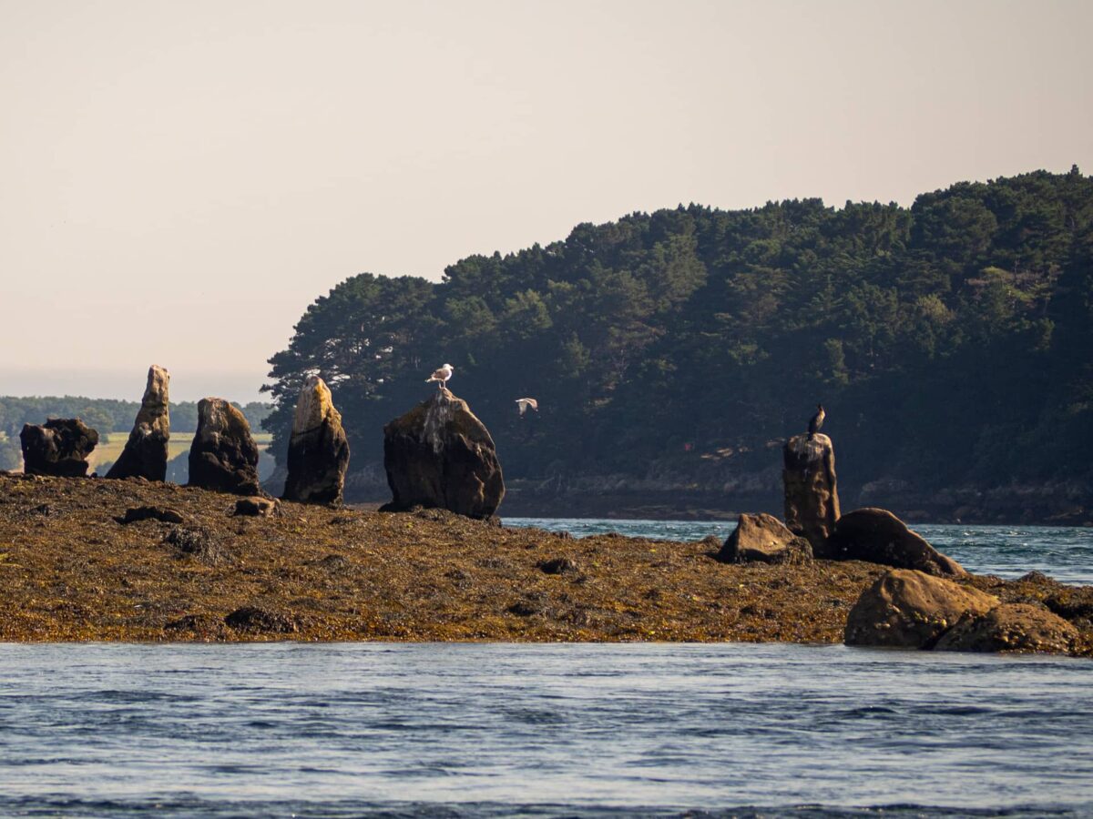 Les îles du Golfe du Morbihan : 3 balades pour découvrir ces joyaux