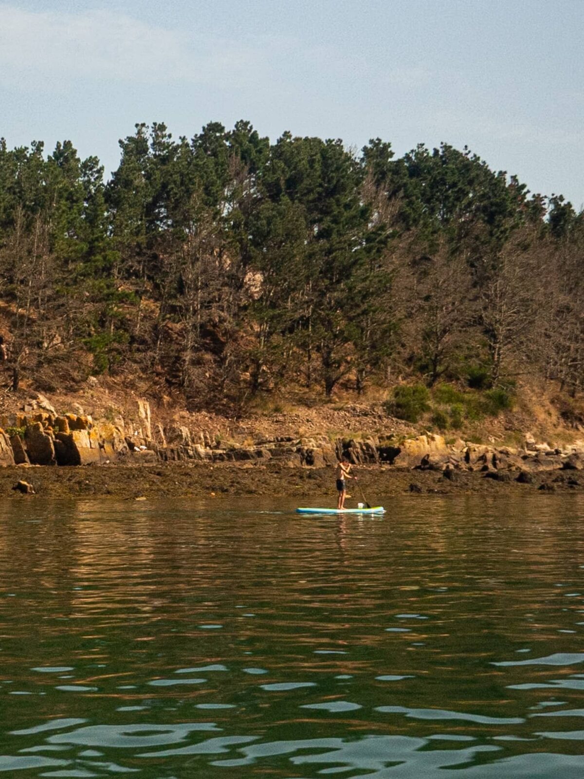 Les îles du Golfe du Morbihan : 3 balades pour découvrir ces joyaux
