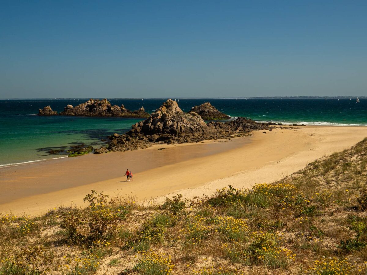 Les îles du Golfe du Morbihan : 3 balades pour découvrir ces joyaux