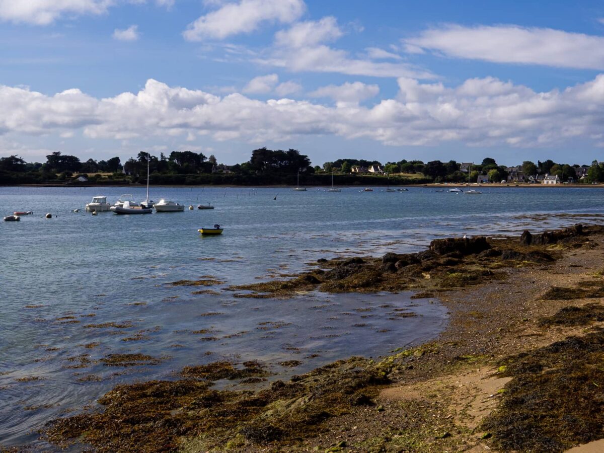 Les îles du Golfe du Morbihan : 3 balades pour découvrir ces joyaux