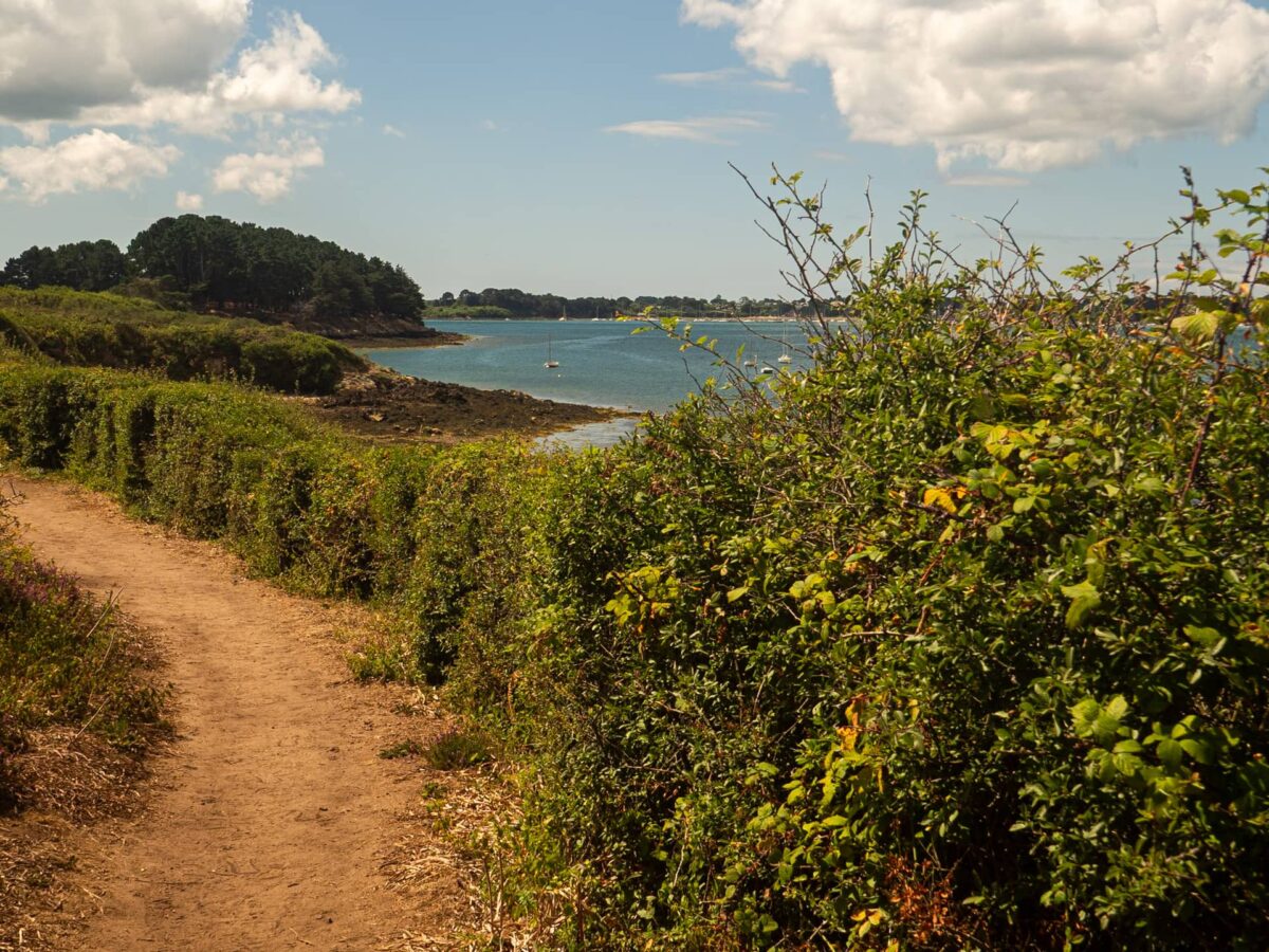 Les îles du Golfe du Morbihan : 3 balades pour découvrir ces joyaux