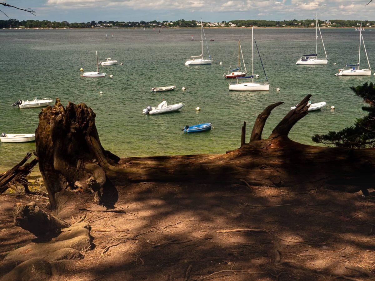 Les îles du Golfe du Morbihan : 3 balades pour découvrir ces joyaux